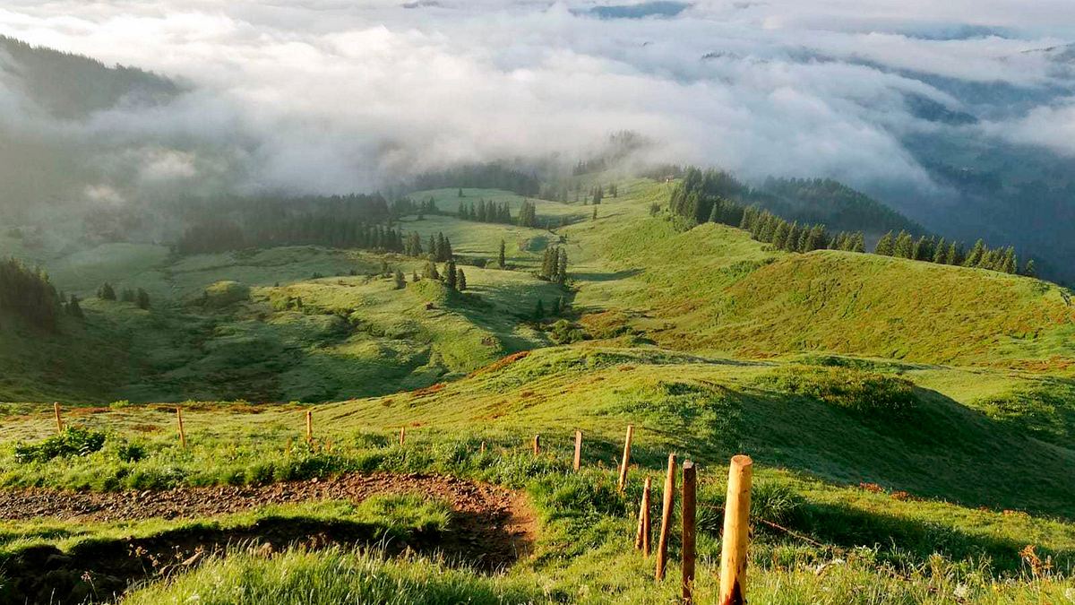 allgäu, da will ich hin!