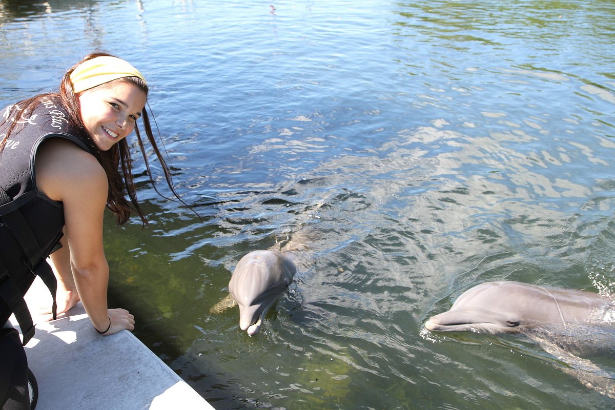 anna und die wilden tiere
