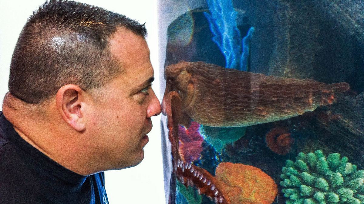 Die Aquarium-Profis die aquarium-profis