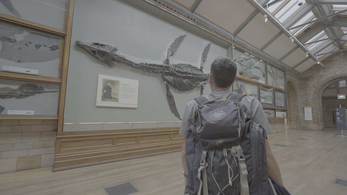 der dinosaurier-jäger