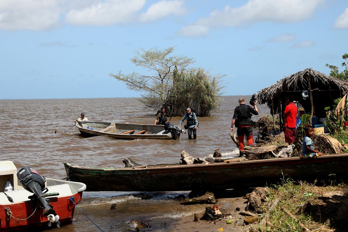Giganten unter Wasser - Riesenfischen auf der Spur giganten unter wasser - riesenfischen auf der spur