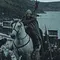 The Northman Thumbnail