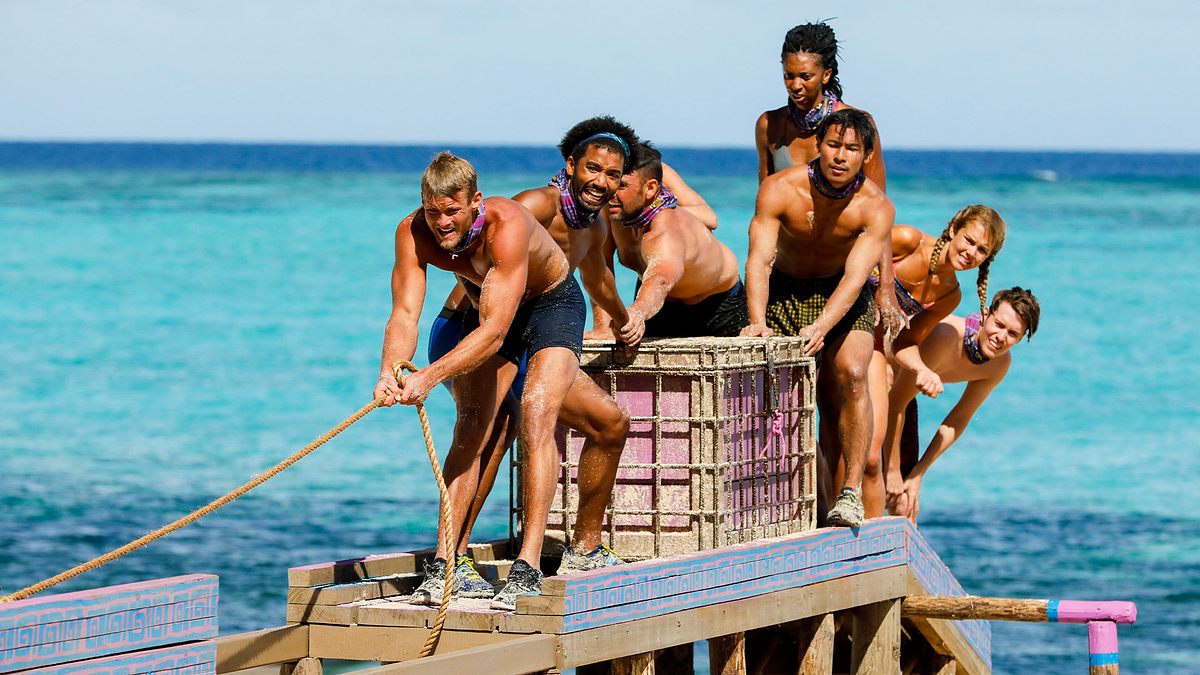 Survivor survivor