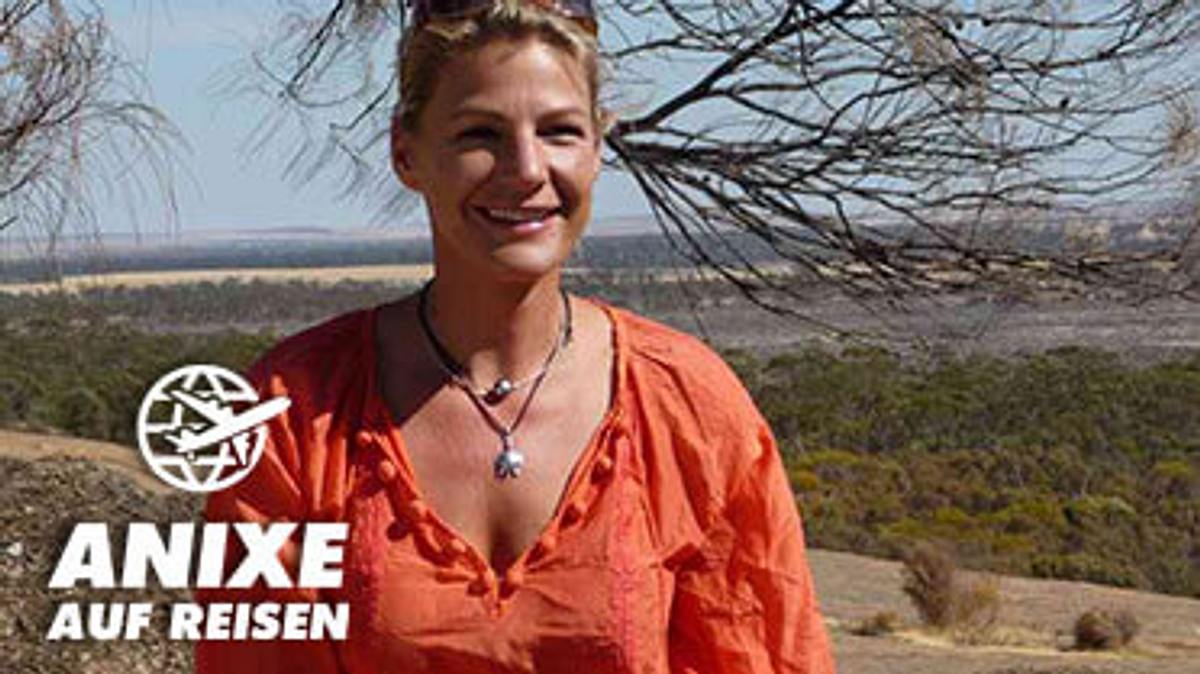anixe auf reisen