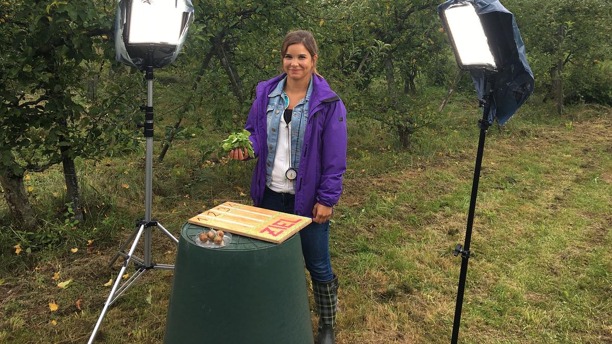 anna und die wilden tiere