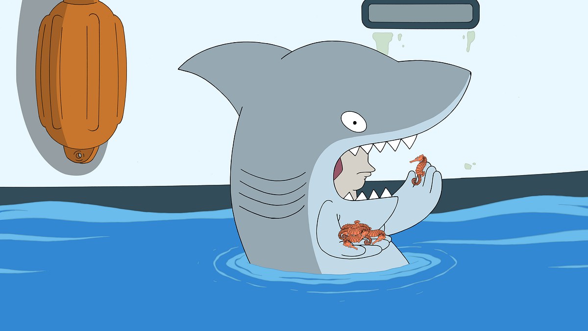 american dad!