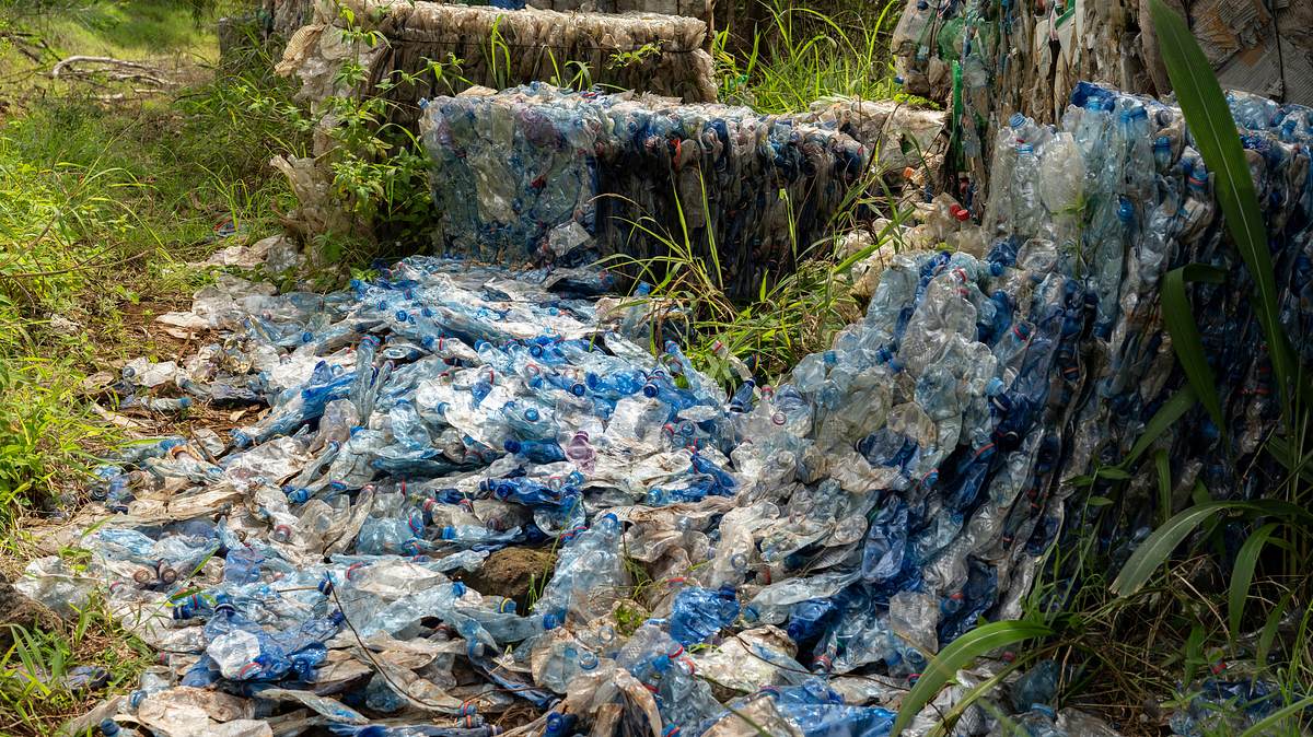 plastikmüll - die globale umweltkatastrophe