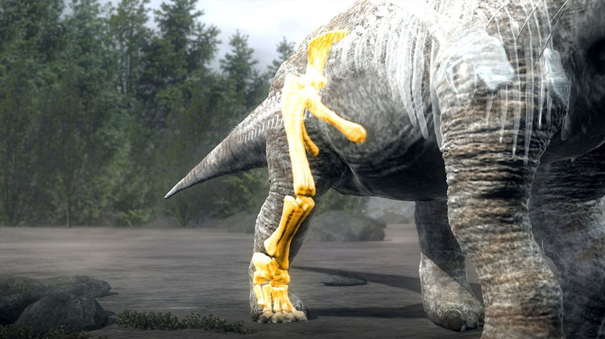 jurassic c.s.i.