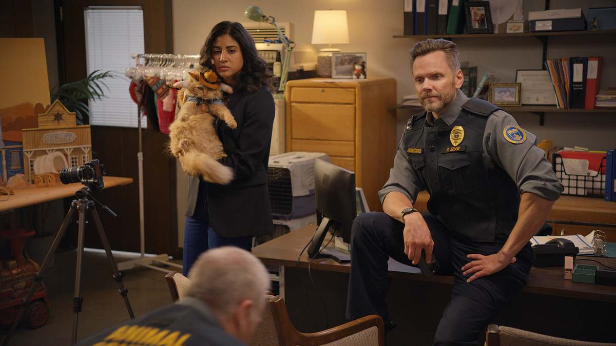 animal control