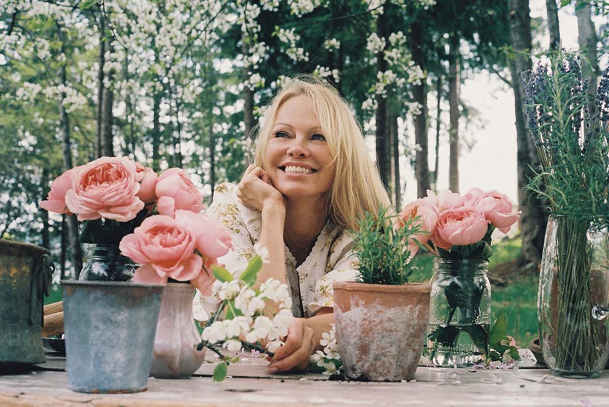 pamela anderson: zurück ins paradies