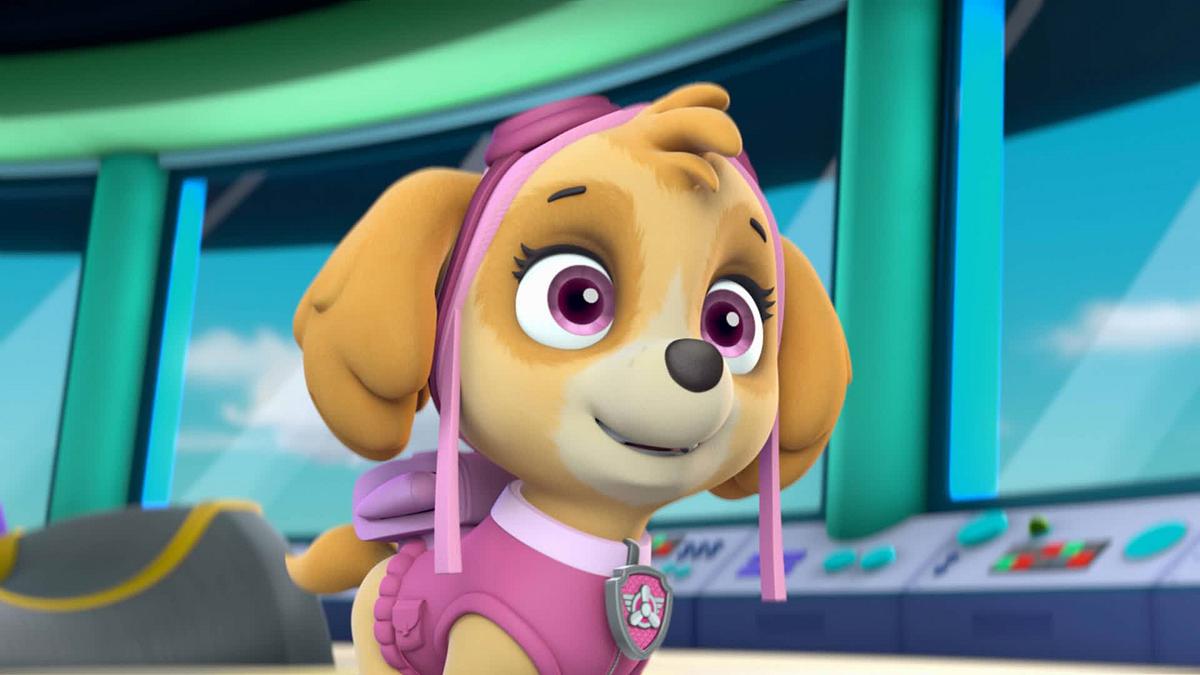 paw patrol - helfer auf vier pfoten