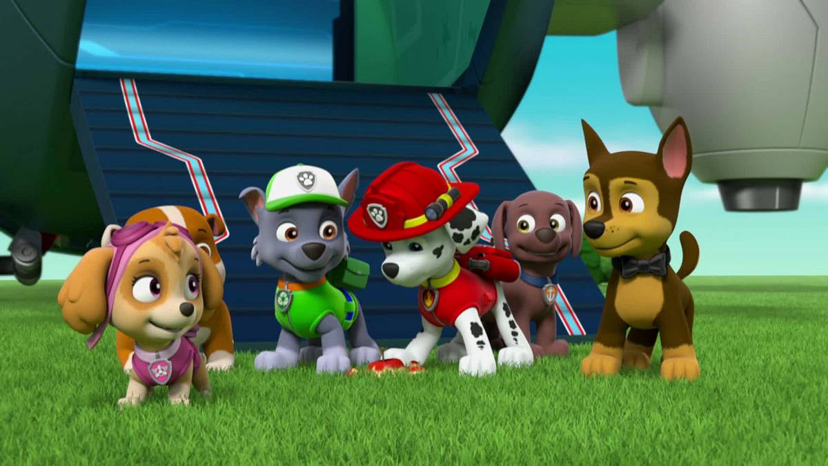 Paw Patrol - Helfer auf vier Pfoten paw patrol - helfer auf vier pfoten
