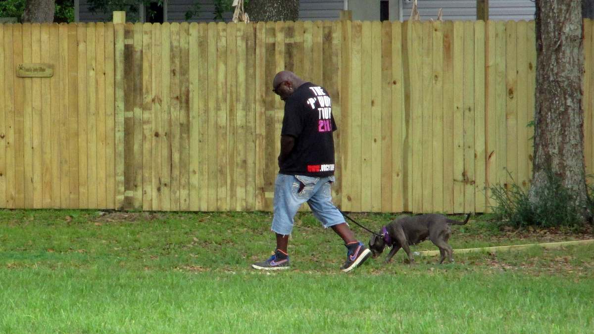 pitbulls auf bewährung
