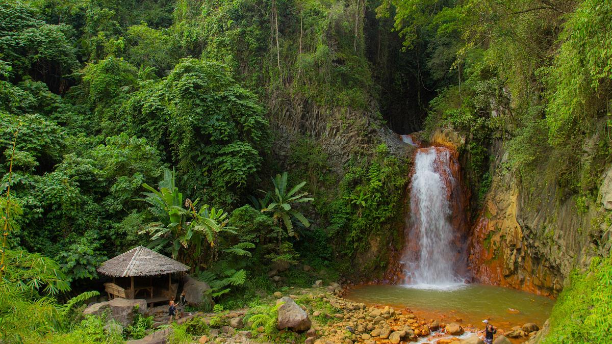 ed stafford: das nackte überleben