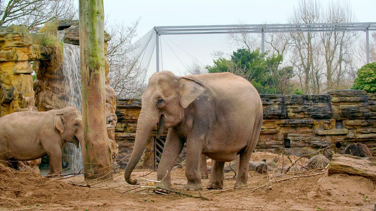 zoo und so - tierisch wild!