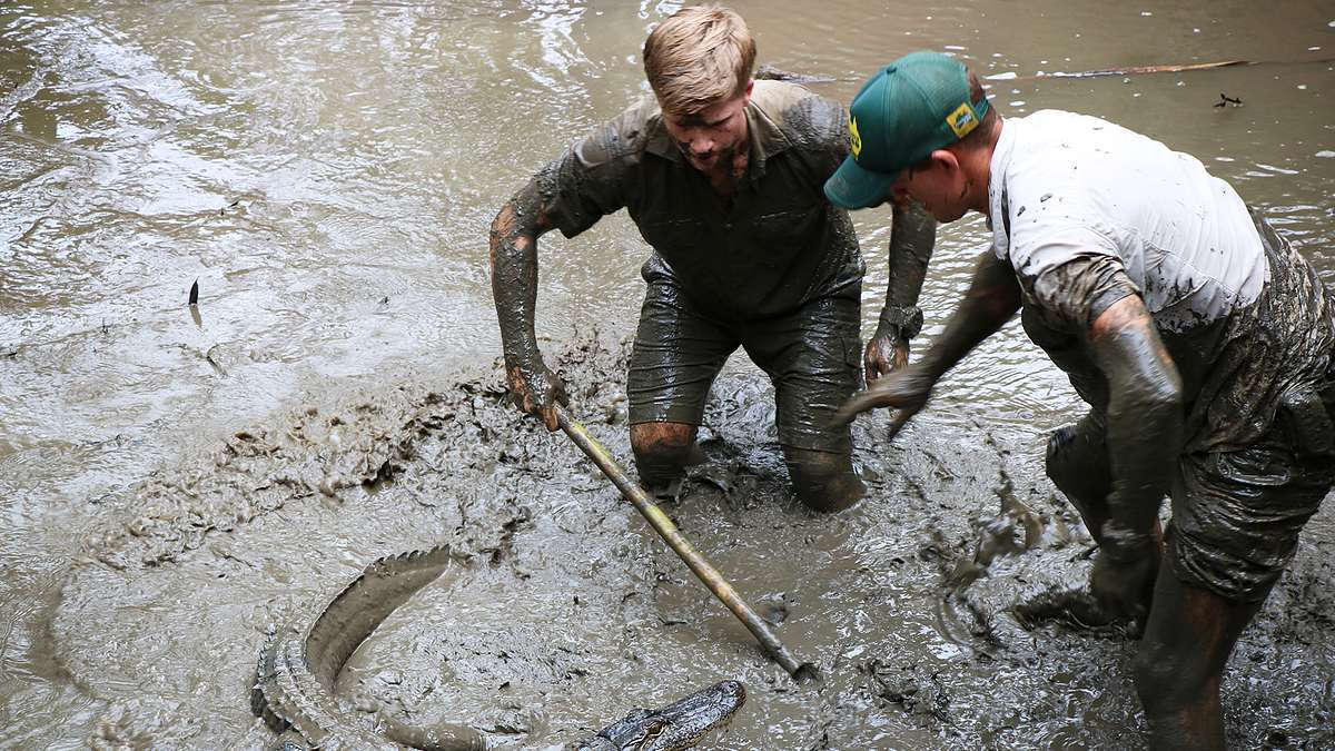 Die Irwins - Crocodile Hunter Family die irwins - crocodile hunter family