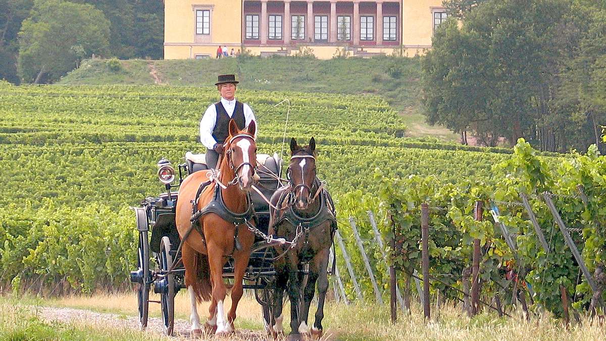 expedition in die heimat