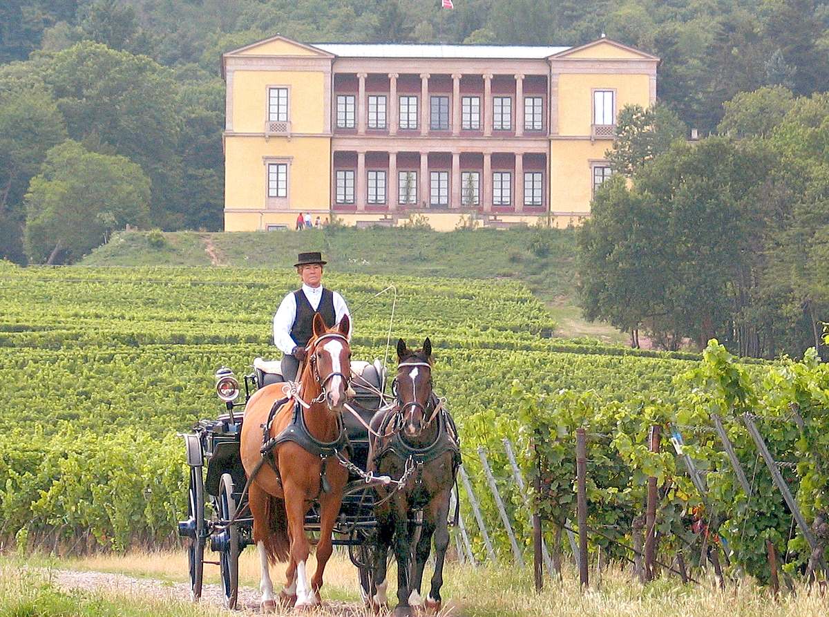 Expedition in die Heimat expedition in die heimat