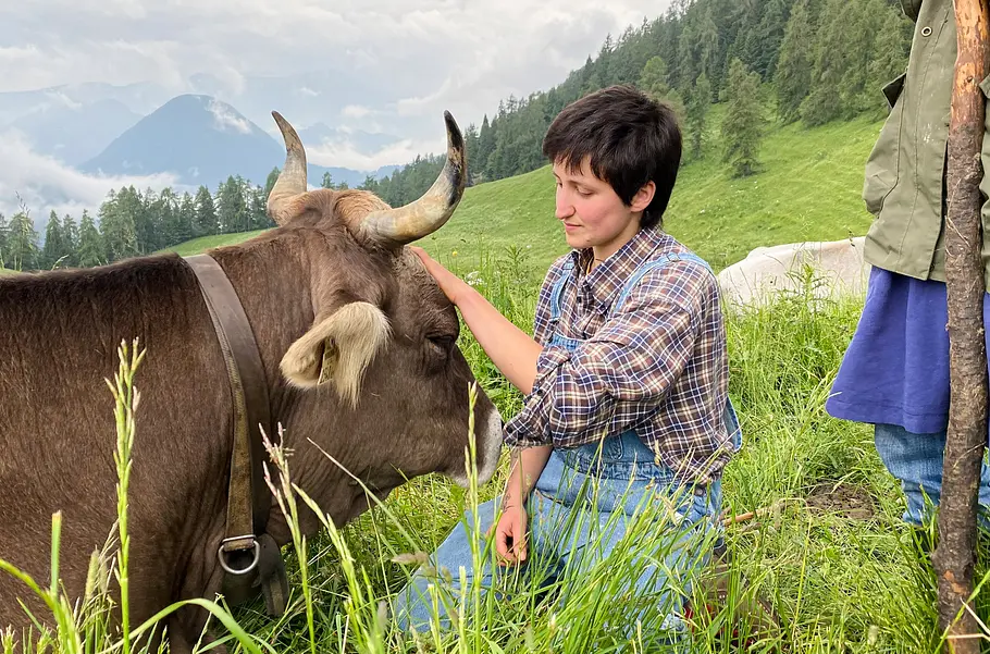 Das Trentino - Naturparadies in Norditalien das trentino - naturparadies in norditalien