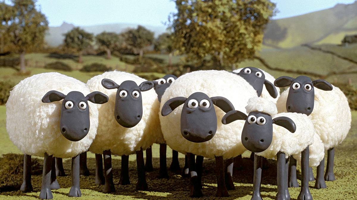 shaun das schaf