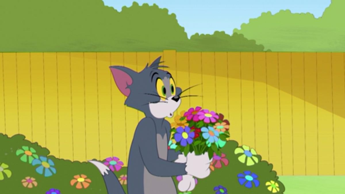 Die Tom und Jerry Show die tom und jerry show