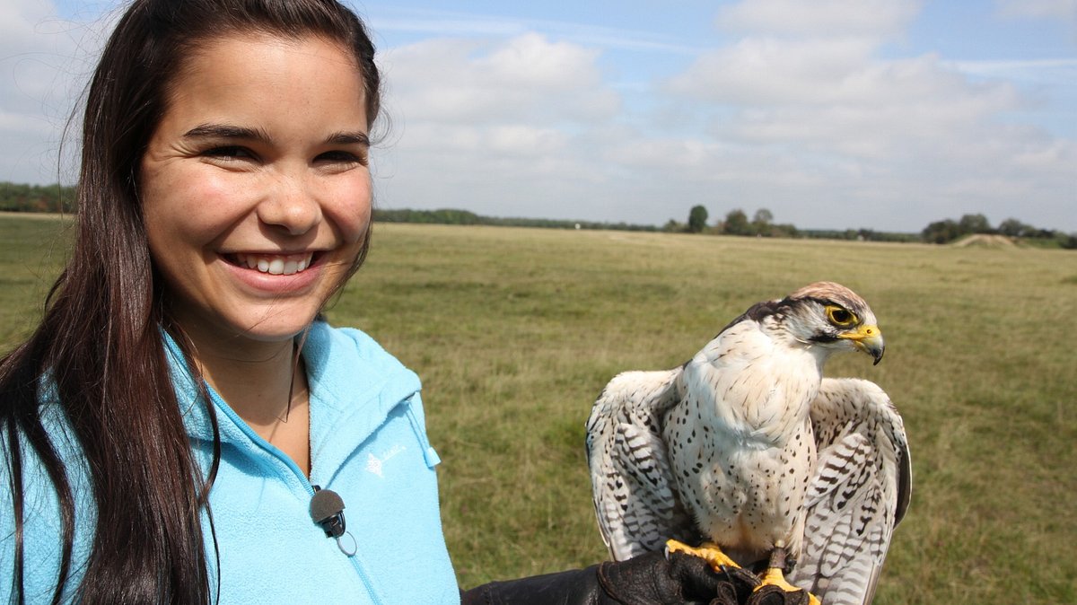 anna und die wilden tiere