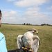 Anna und die wilden Tiere Thumbnail
