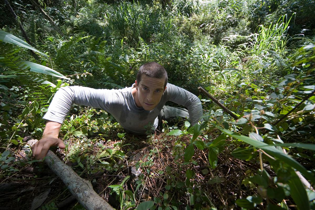 Ausgesetzt in der Wildnis ausgesetzt in der wildnis