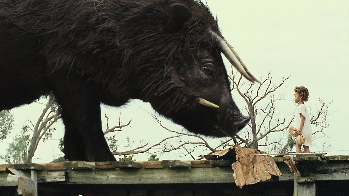 beasts of the southern wild