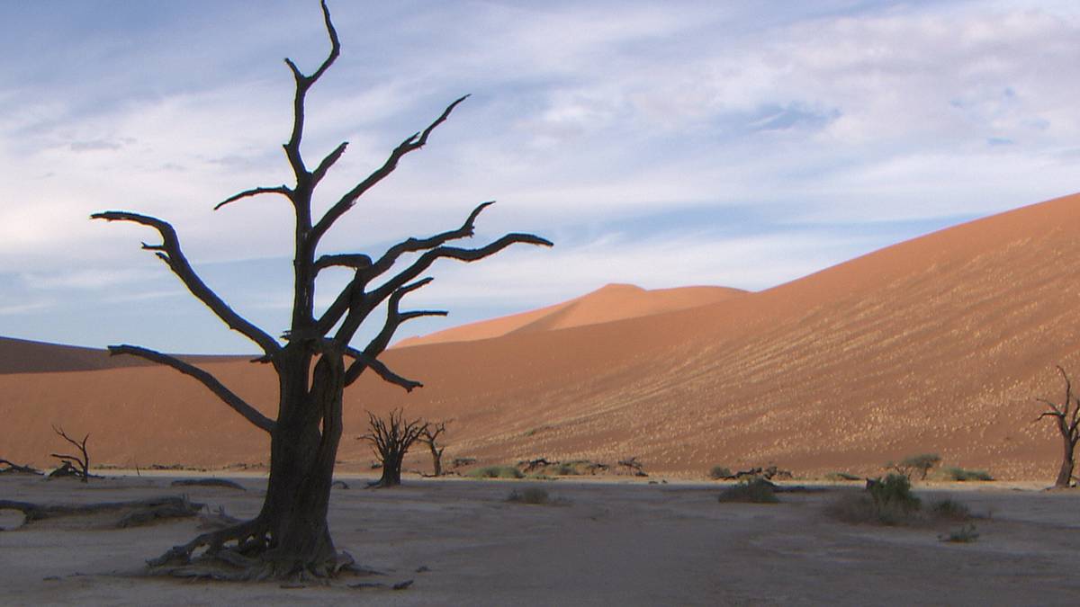 wildes afrika