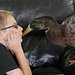 Tierische Freundschaften Thumbnail