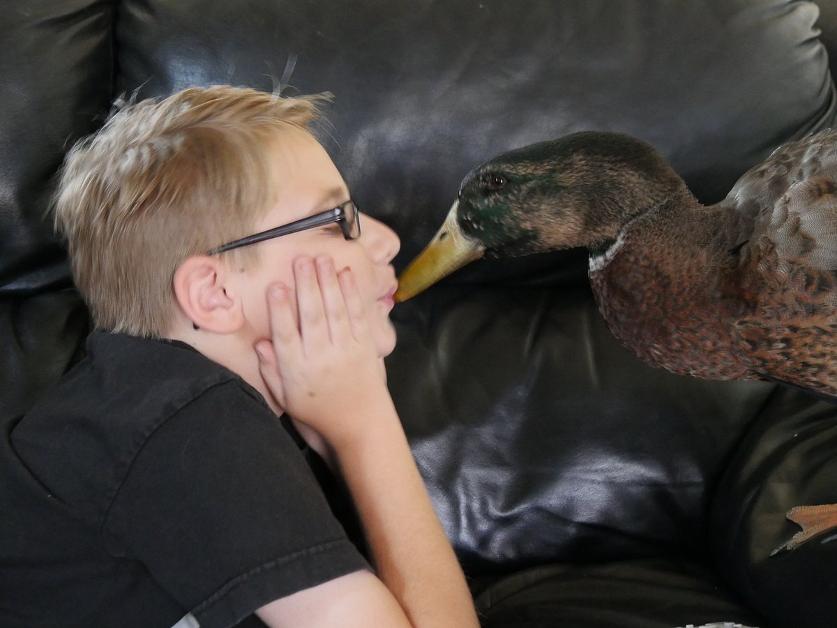 Tierische Freundschaften tierische freundschaften