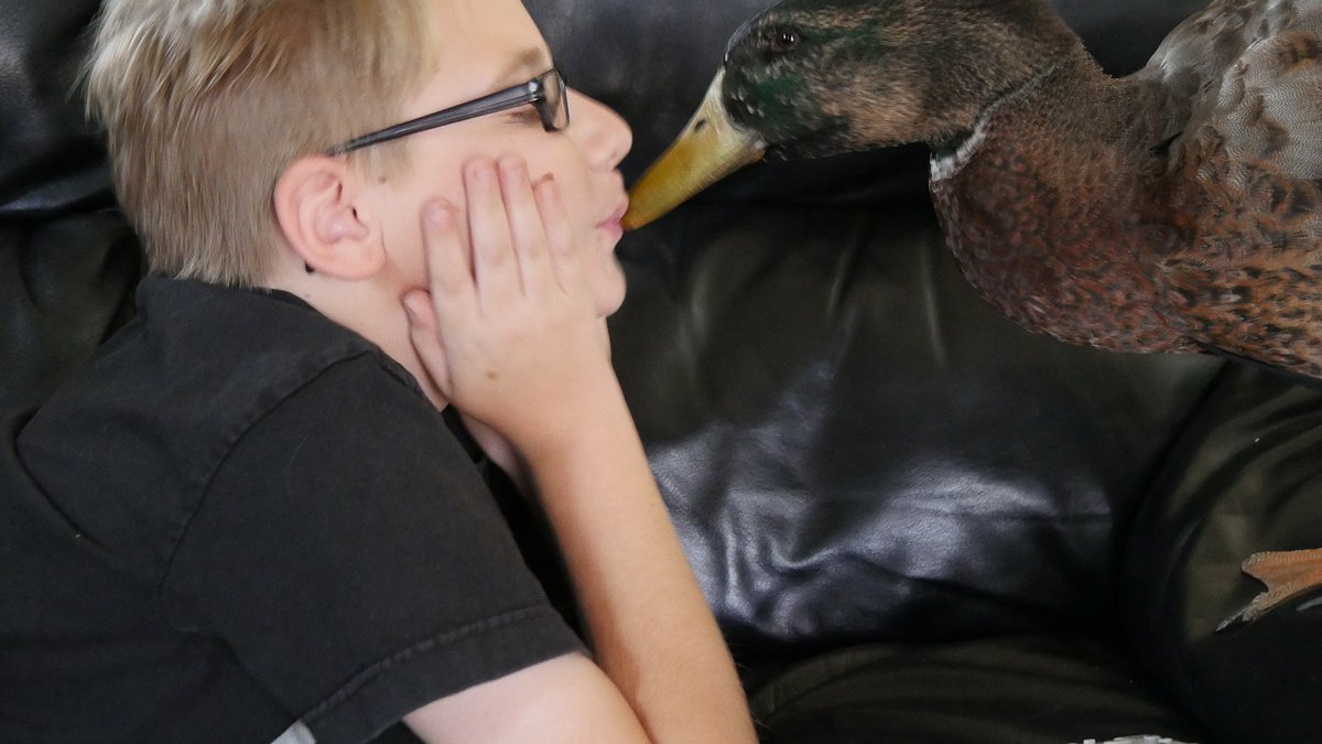 tierische freundschaften