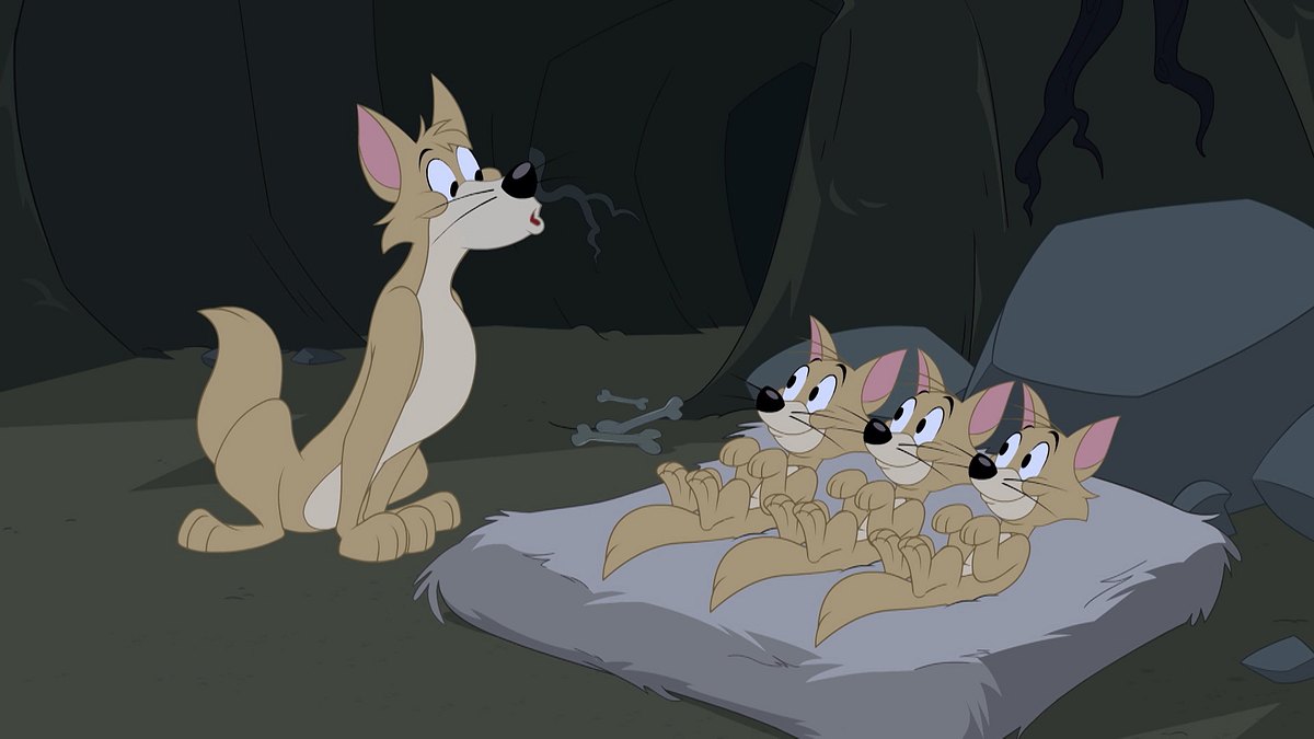Die Tom und Jerry Show die tom und jerry show
