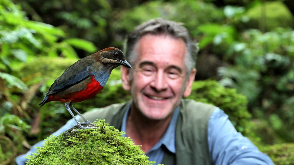 die wilden philippinen
