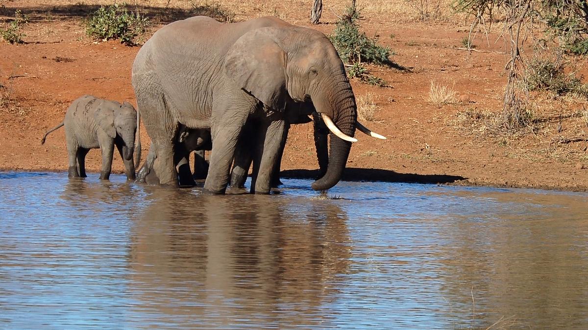 drachenberge und wilde küste - südafrikas abenteuerlicher osten