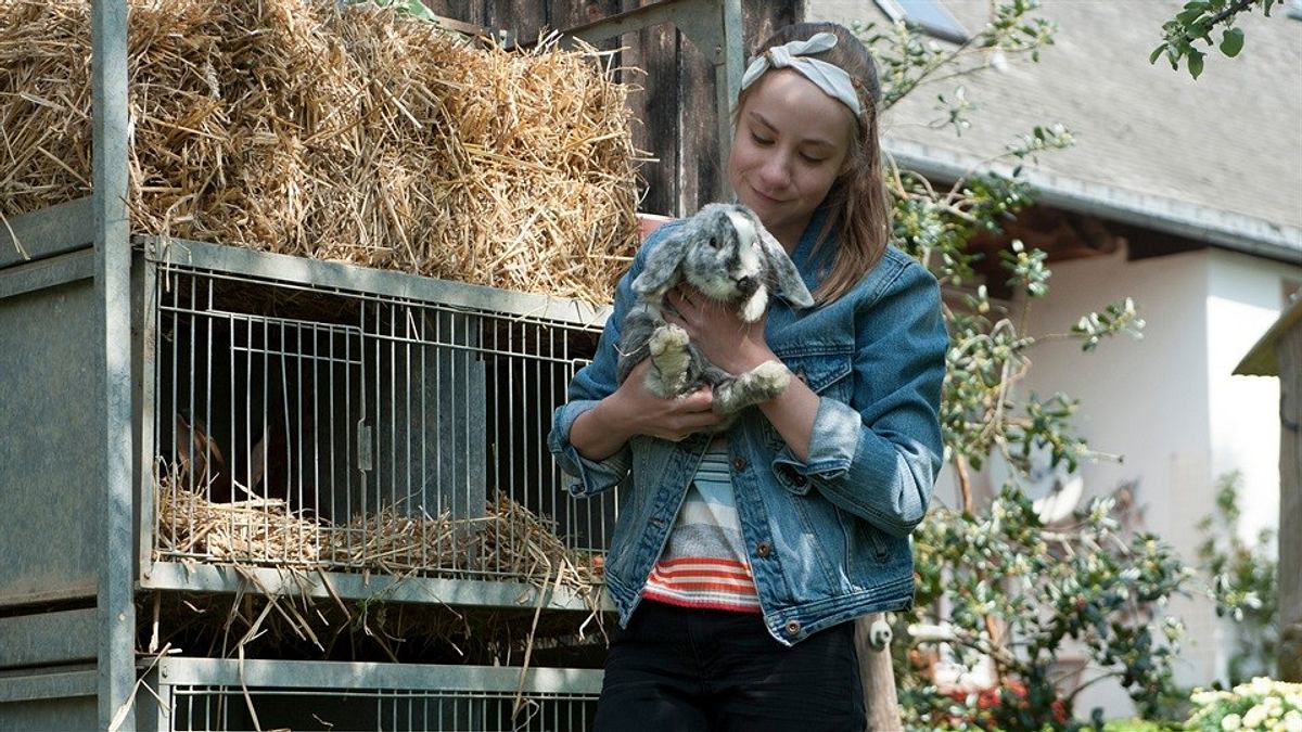 tiere bis unters dach