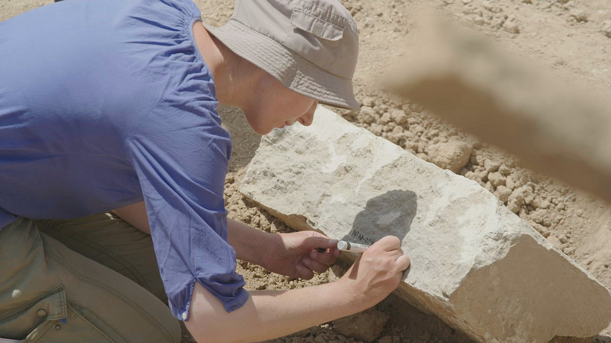 die verlorenen schätze der bibel