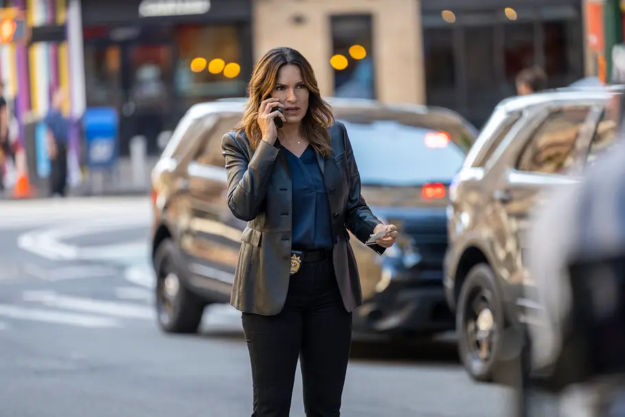 Law & Order: Special Victims Unit law & order: special victims unit