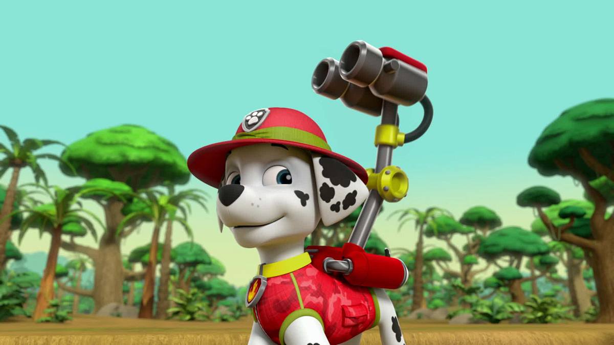 paw patrol - helfer auf vier pfoten