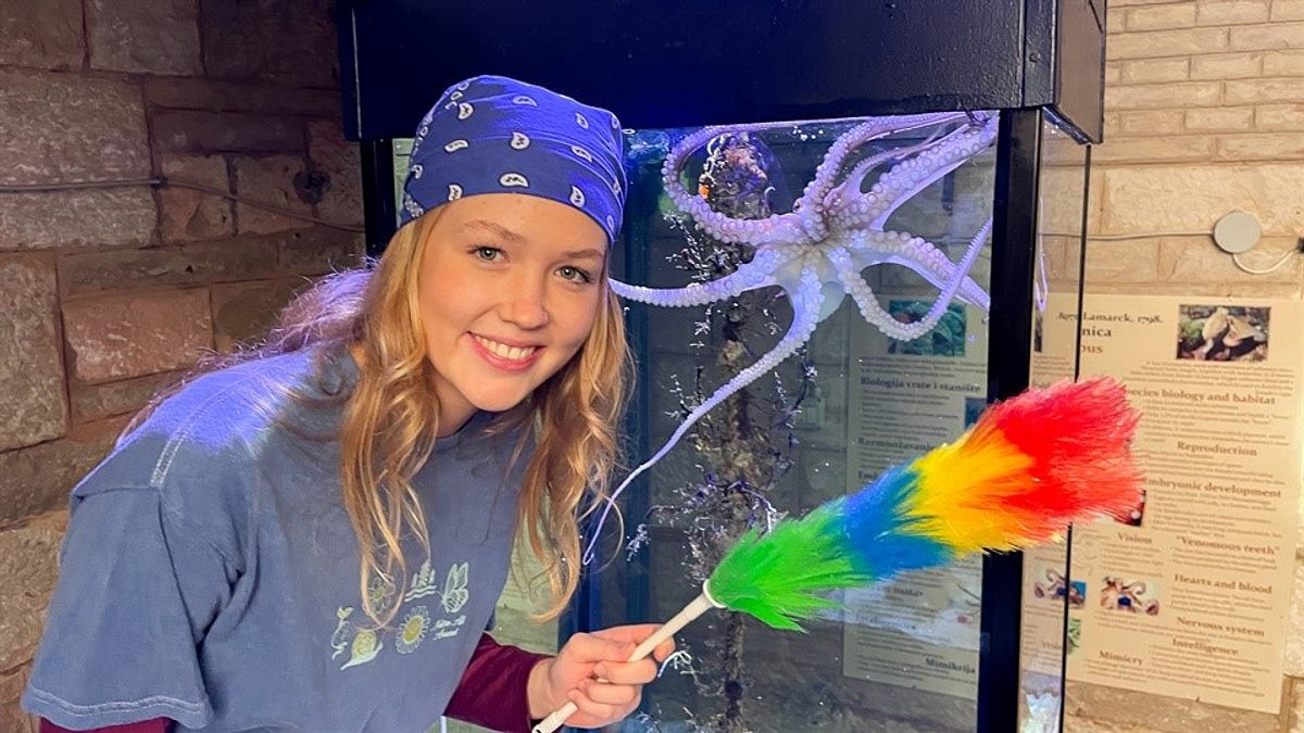 Nina und die wilden Tiere nina und die wilden tiere