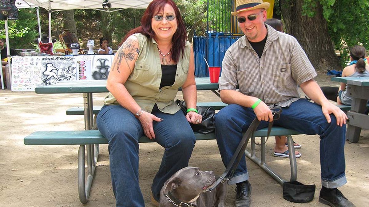 Pitbulls auf Bewährung pitbulls auf bewährung