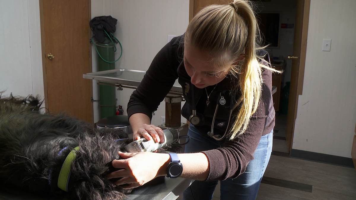 der unglaubliche dr. pol