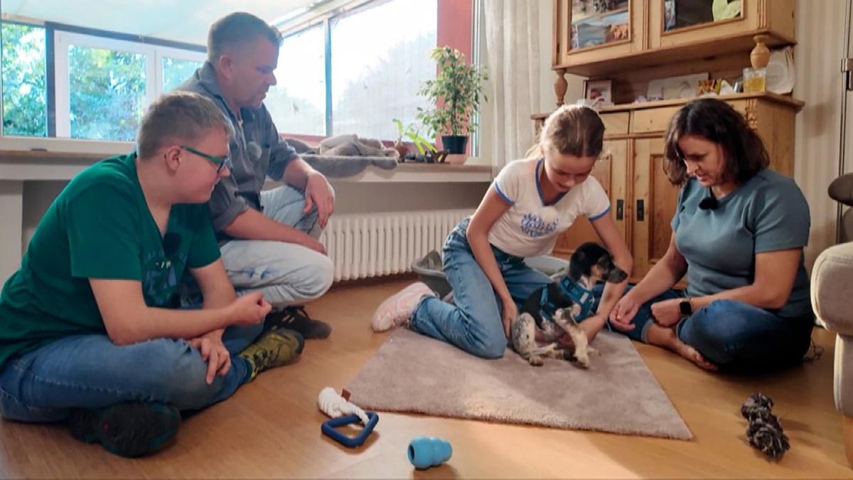 Martin Rütter - Die Welpen kommen martin rütter - die welpen kommen