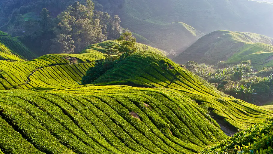 malaysia - ganz asien in einem land