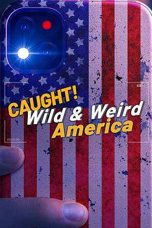 Wild & Weird America - Foto: TMDB