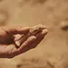 Ägypten - Schatzkammer der Archäologie Thumbnail