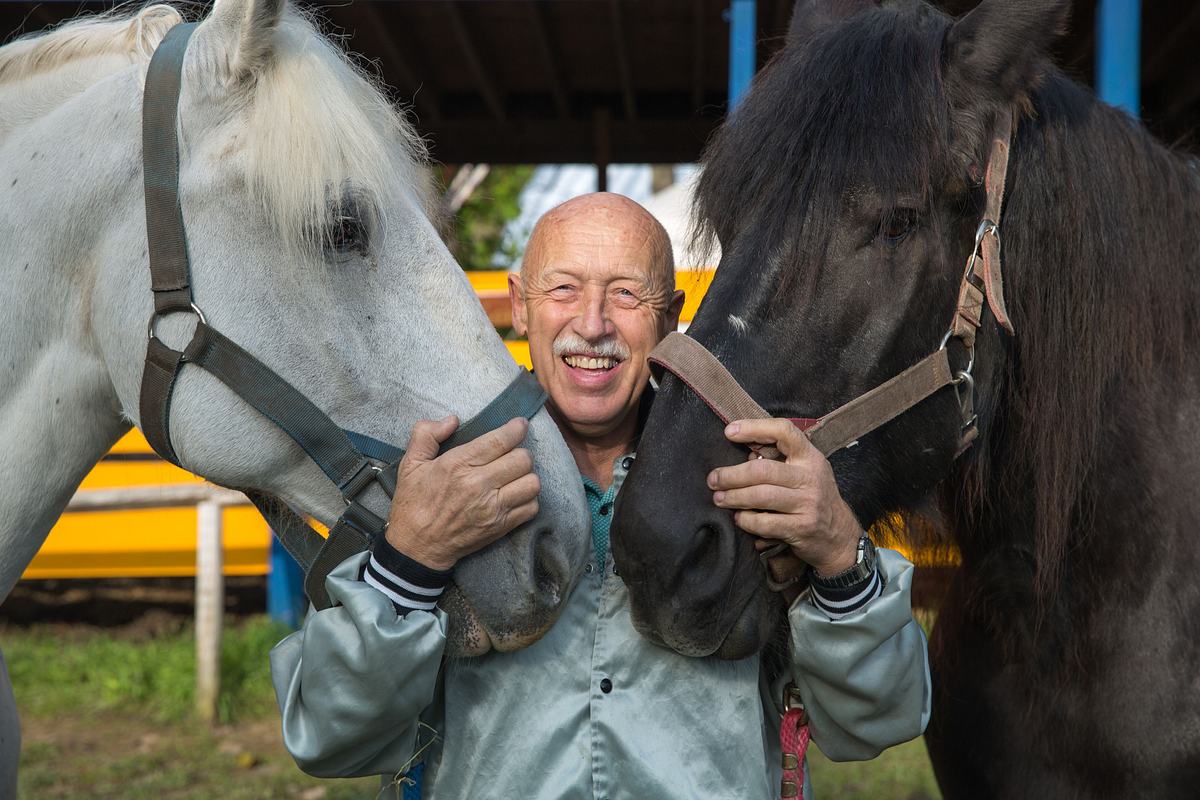 Der unglaubliche Dr. Pol der unglaubliche dr. pol