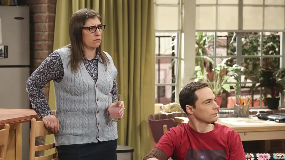 The Big Bang Theory the big bang theory
