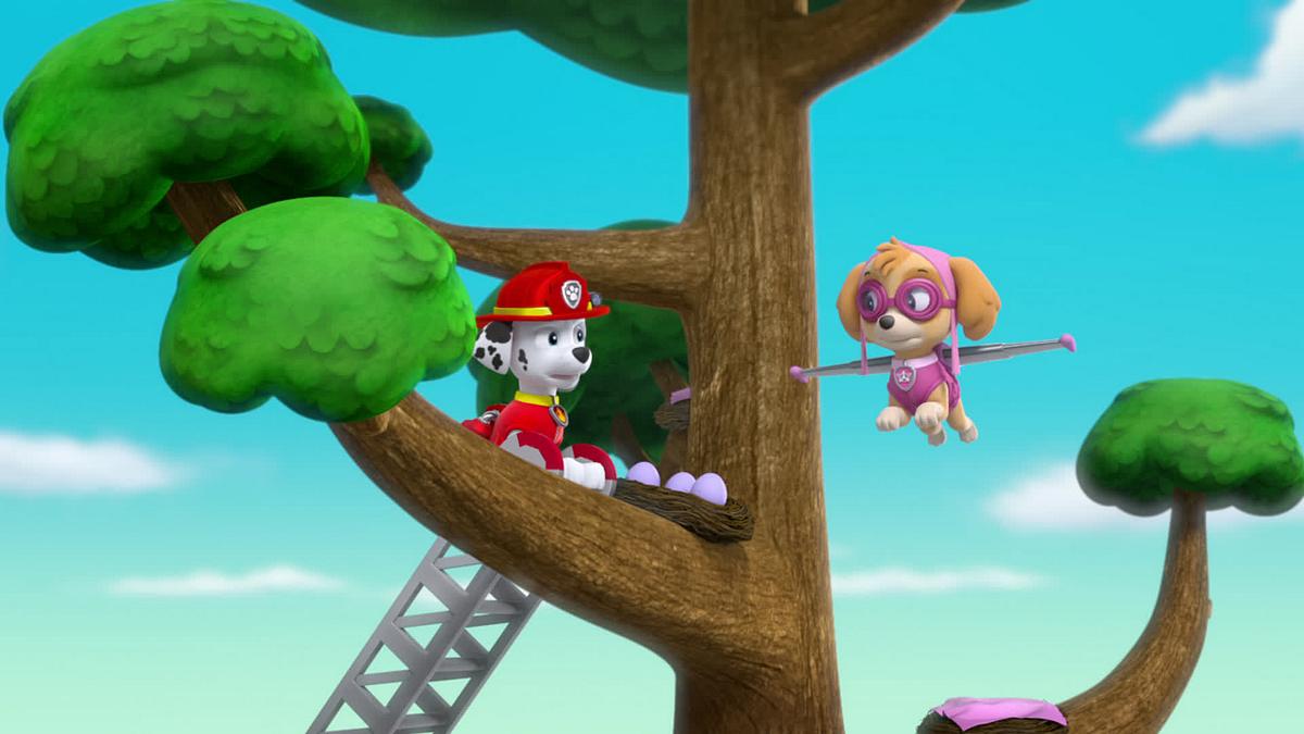 Paw Patrol - Helfer auf vier Pfoten paw patrol - helfer auf vier pfoten